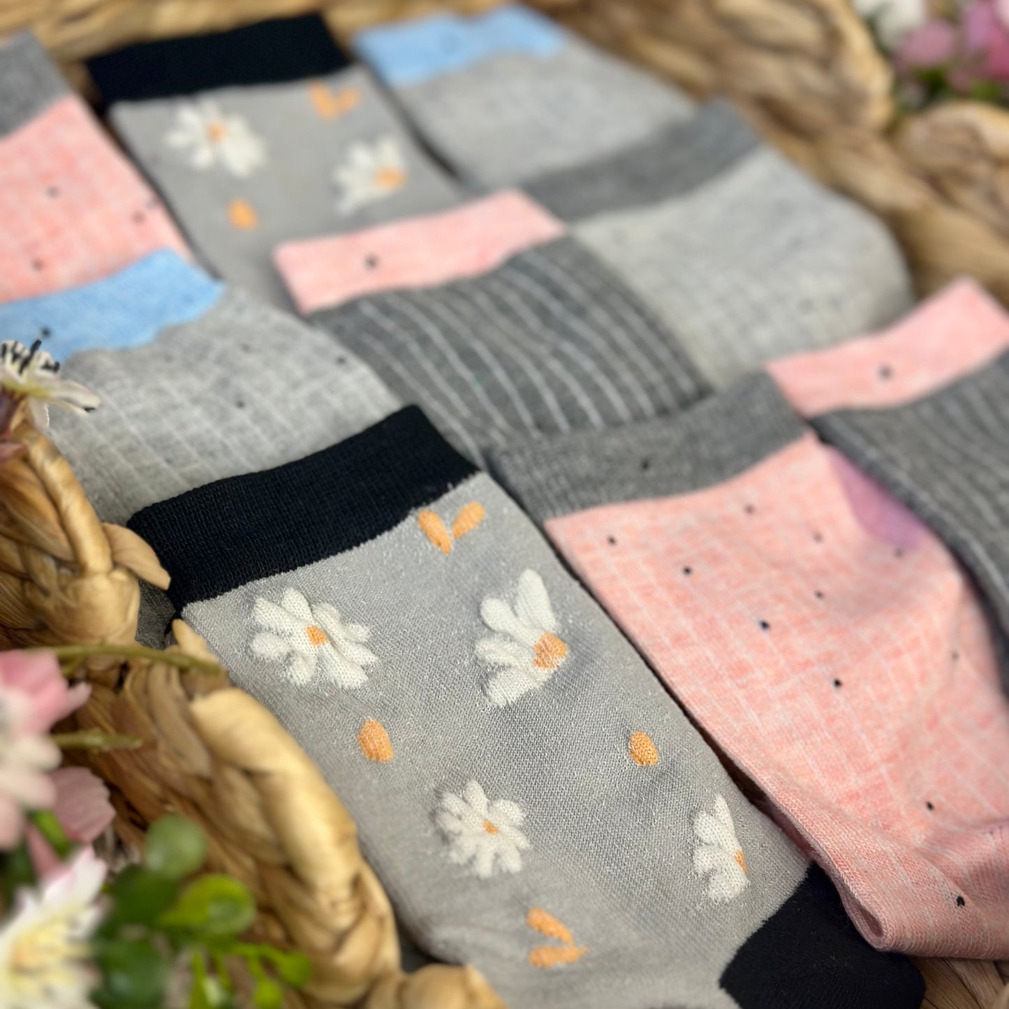 Stripes and Daisy 5-Pack assorted  Bundle + Wish Bracelet | Ankle Socks