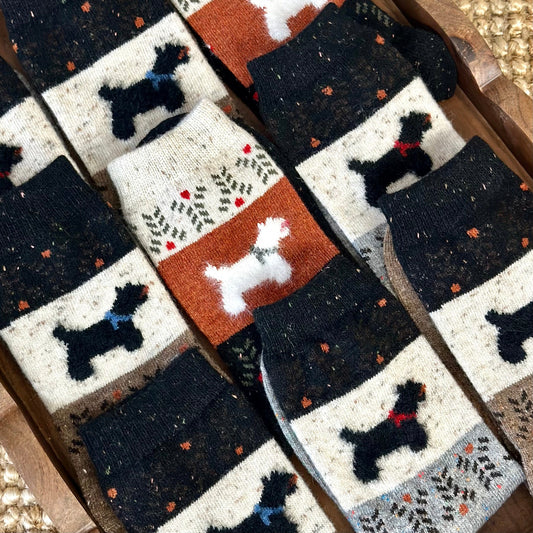 WOOF 3-Pack Dog Novelty Socks + Paw Wish Bracelet | Women's 6-9