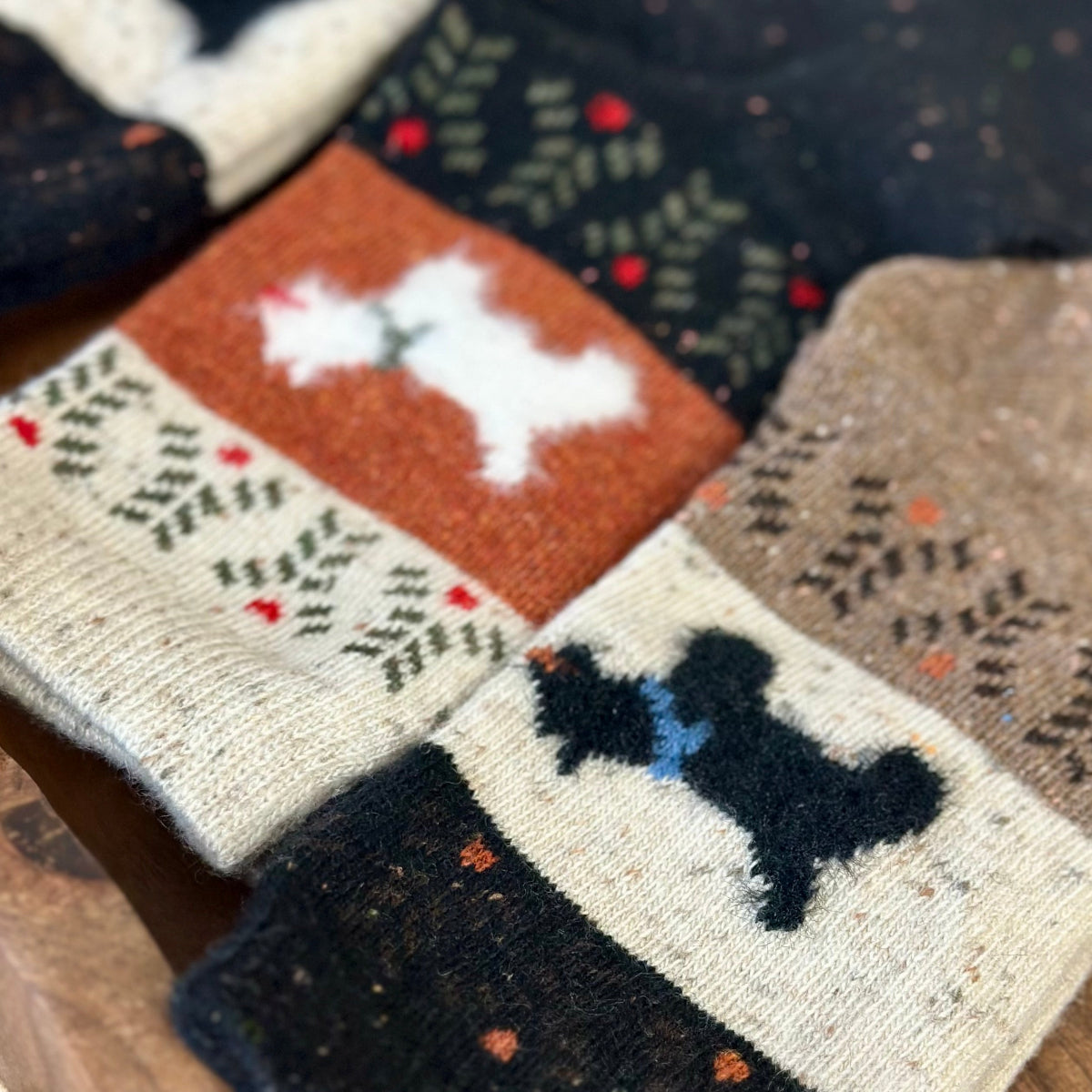 WOOF 3-Pack Dog Novelty Socks + Paw Wish Bracelet | Women's 6-9