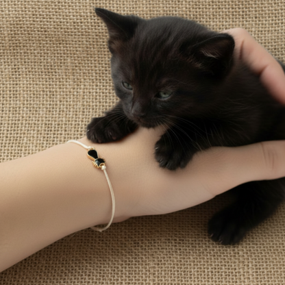 Black kitten being held on a person's arm with a textured background