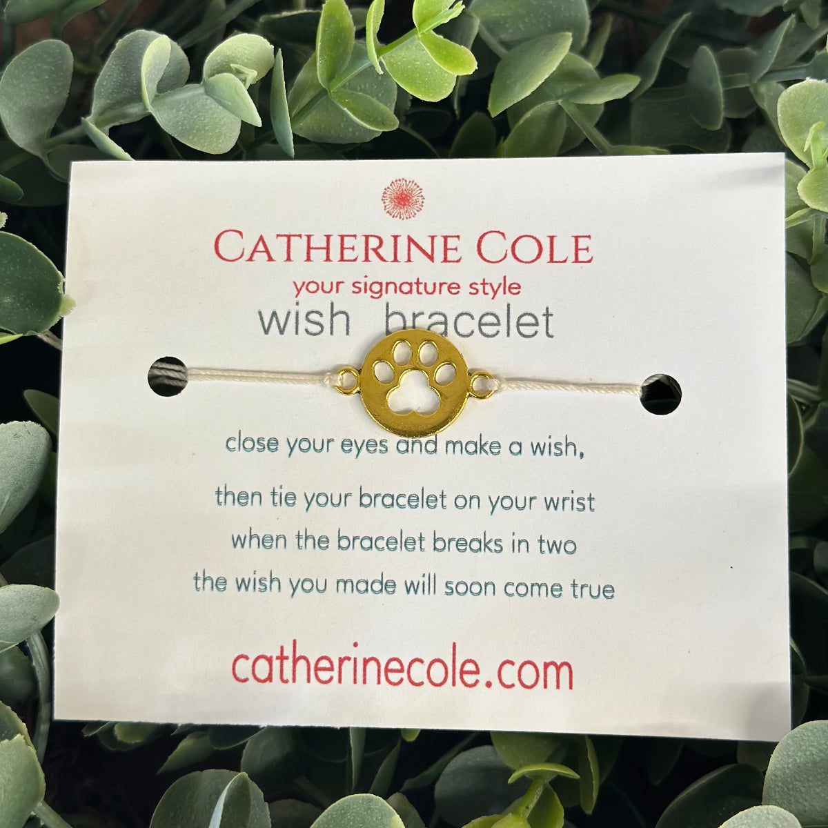 Catherine Cole wish bracelet packaging with green leaves in the background