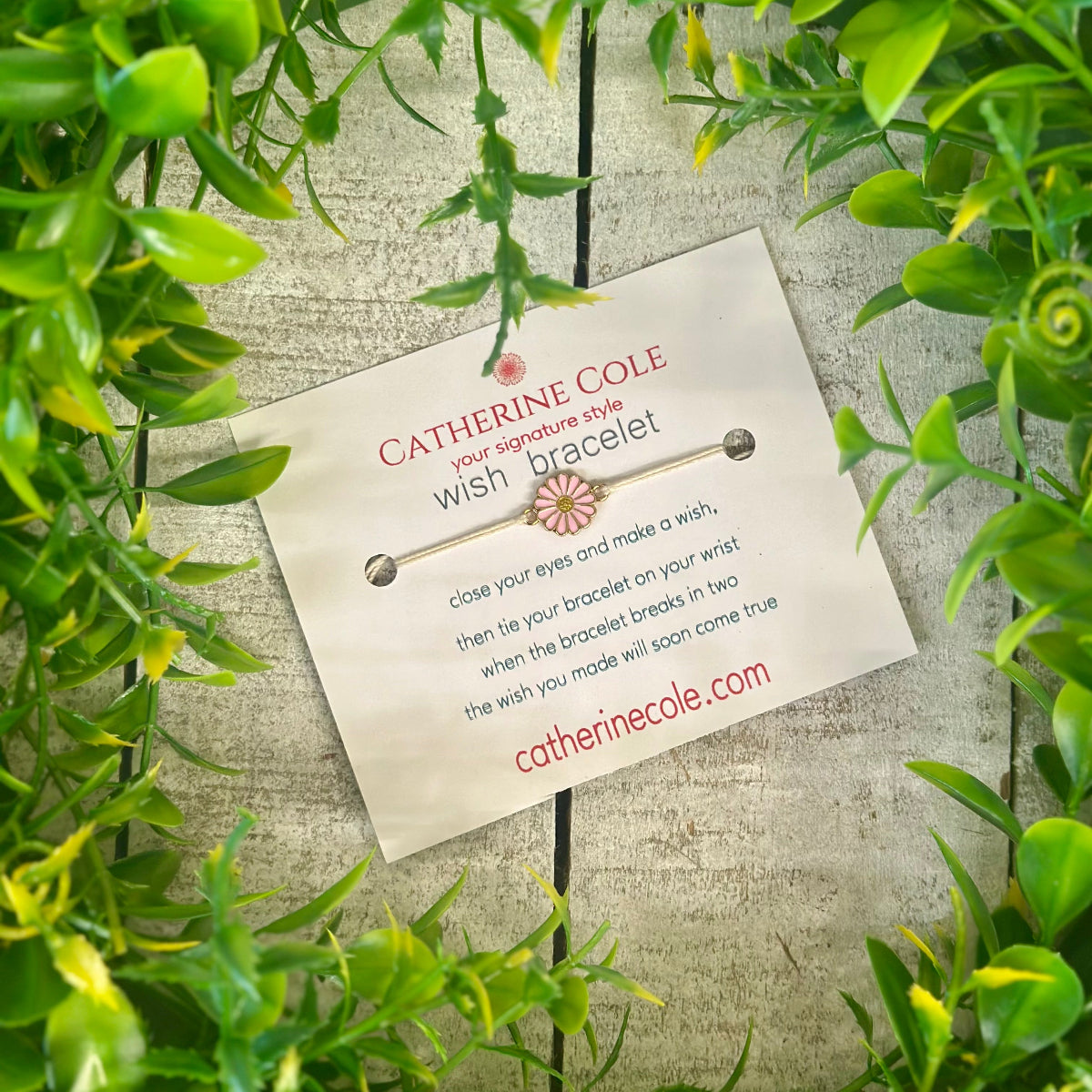 Catherine Cole wish bracelet packaging with a decorative card on a textured surface with green leaves.